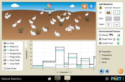 Selección Natural Básica